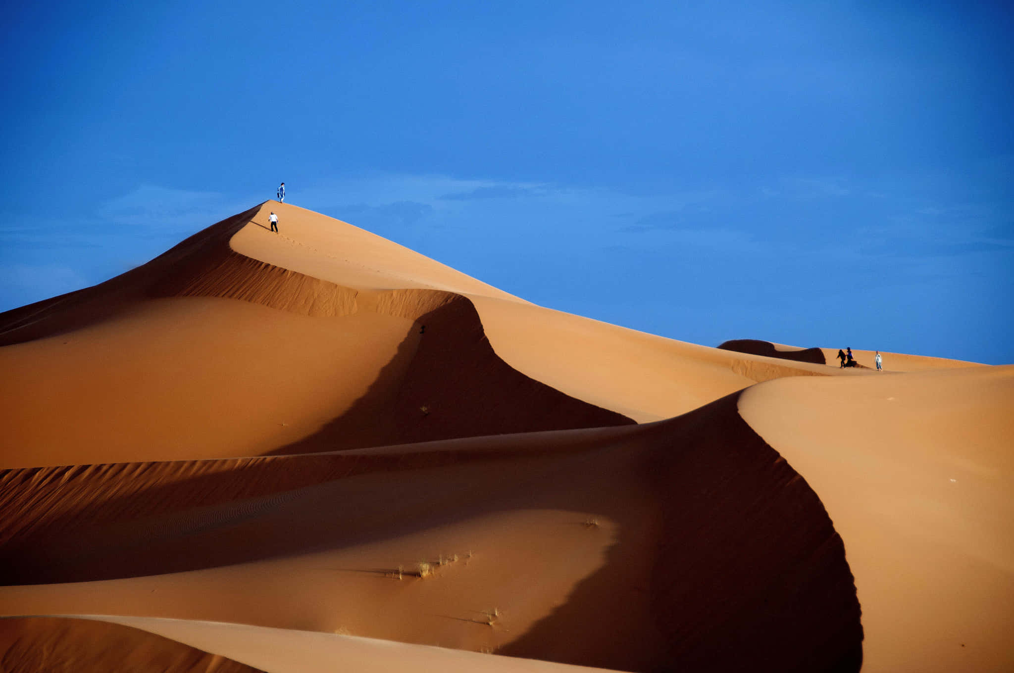 Sand Dunes 桌布 壁紙 — 廣闊的金色沙丘在清澈的藍天下蜿蜒，細小的人物正在攀登其頂峰。