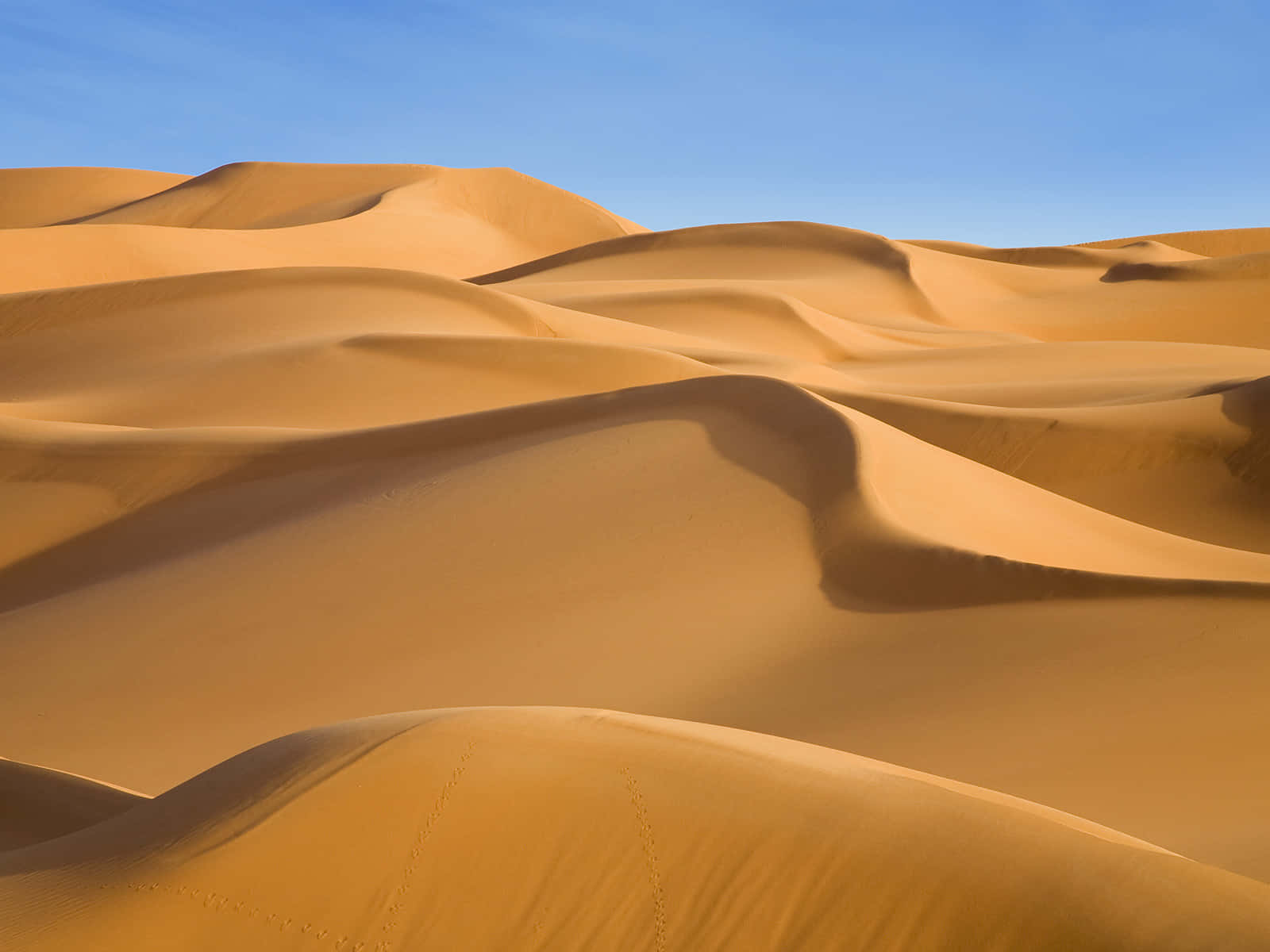 Sand Dunes 桌布 壁紙 — 廣闊的金色沙丘在清澈的藍天下起伏，呈現寧靜的沙漠景觀。