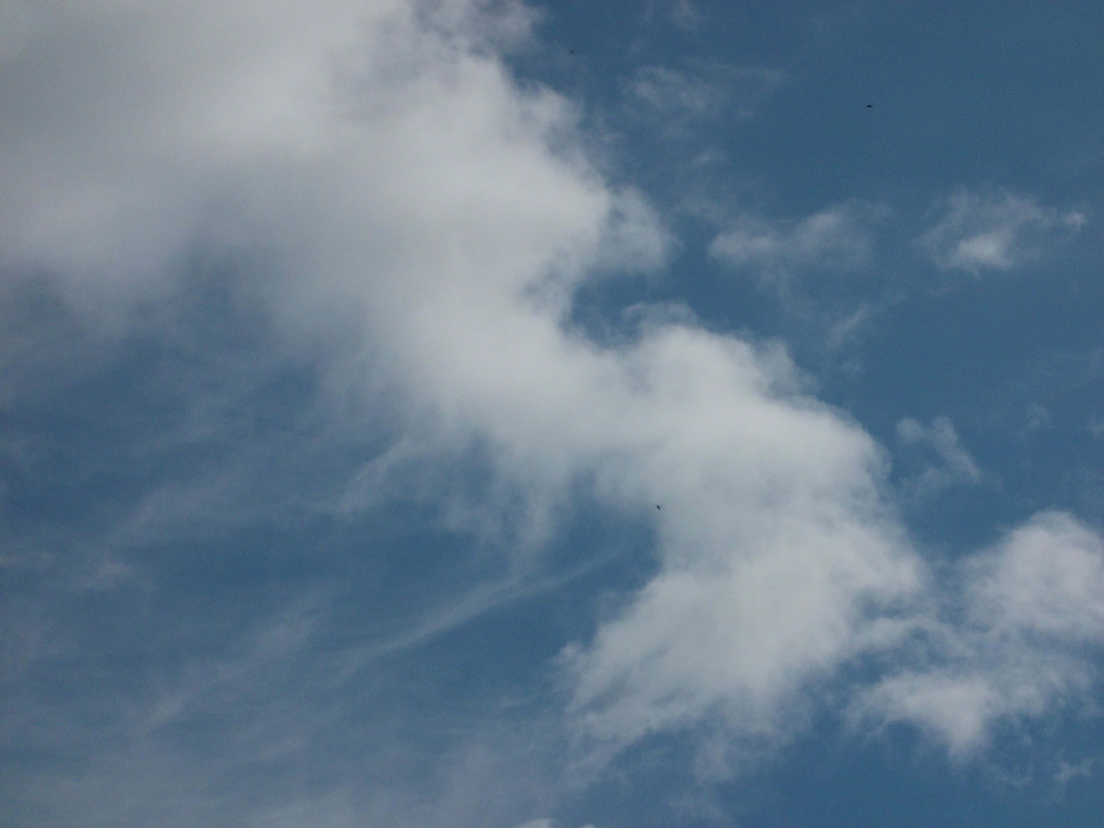 Cloud Aesthetic 桌布 壁紙 — 廣闊藍天，佈滿柔軟白雲，在地平線上飄移。