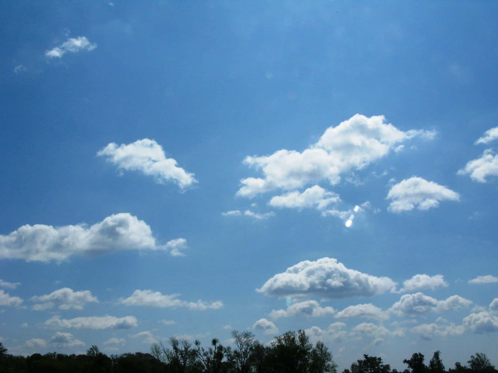 Blue Skies 桌布 壁紙 — 廣闊藍天點綴著蓬鬆白雲，下方是暗色樹線，在明亮的日光下。