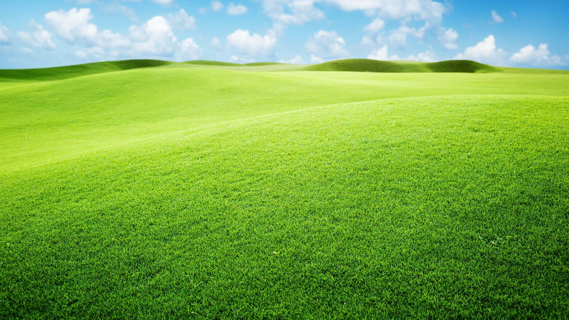 Green Landscape 桌布 壁紙 — 廣闊起伏的綠色山丘在點綴著蓬鬆白雲的明亮藍天下延伸。