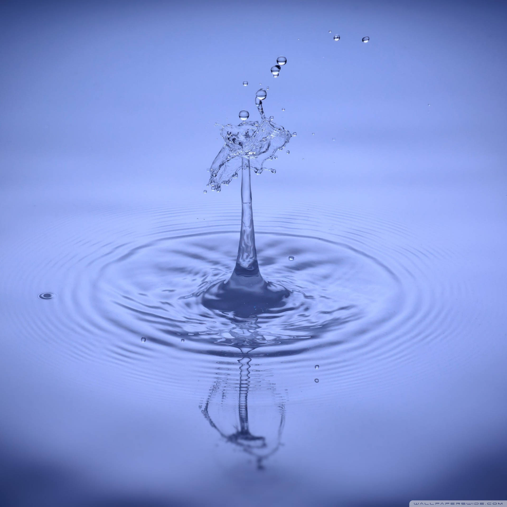 一滴水向上飛濺，在藍色水中形成漣漪和水滴。