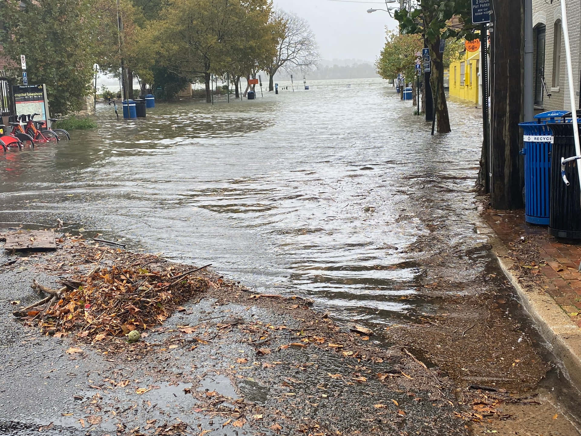 被淹沒的城市街道，積水覆蓋道路和行人路，周圍有樹木和垃圾桶。