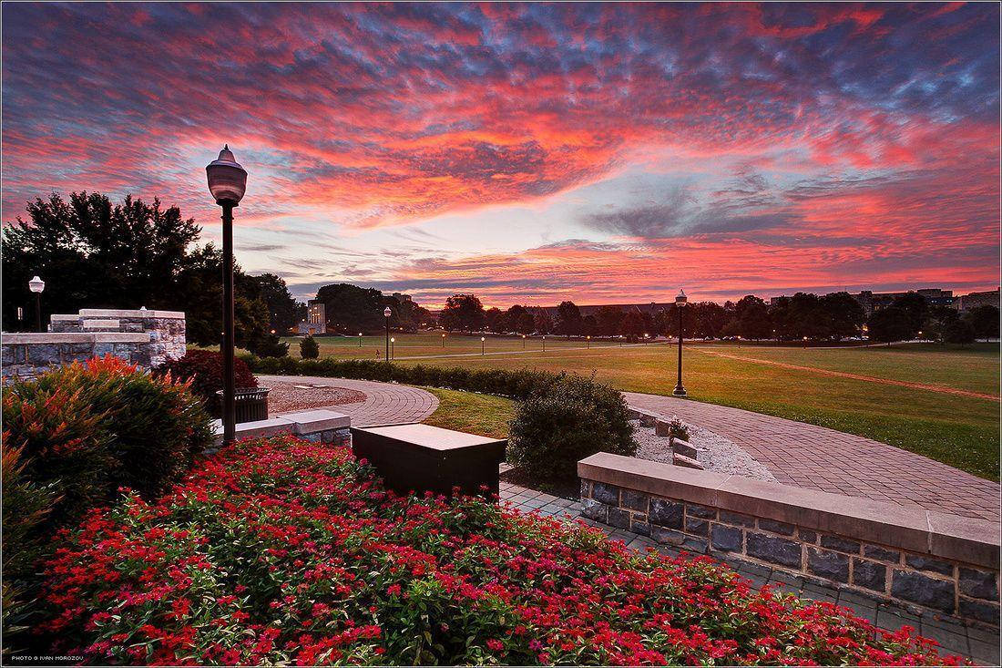 公園小徑兩旁種滿紅花，上方是壯麗的夕陽天空。