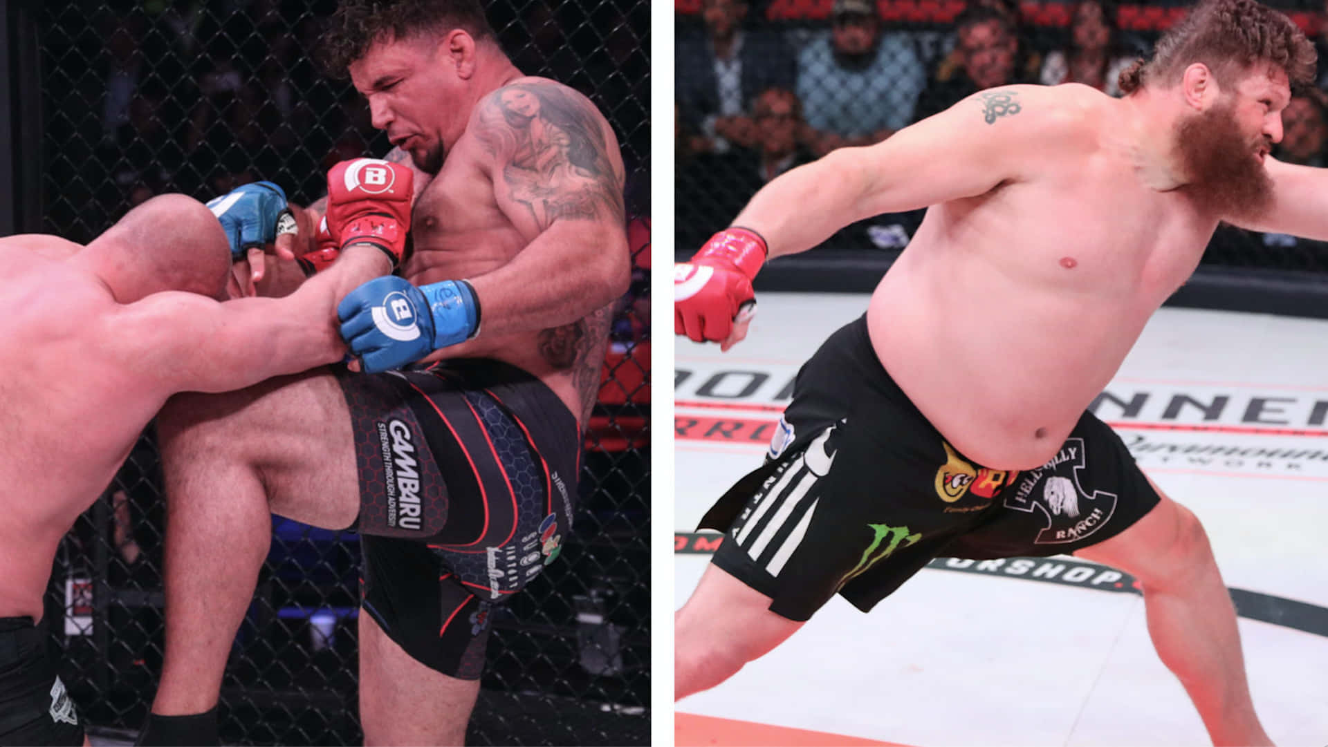 兩名男性MMA拳手在職業比賽中於八角籠內戰鬥。