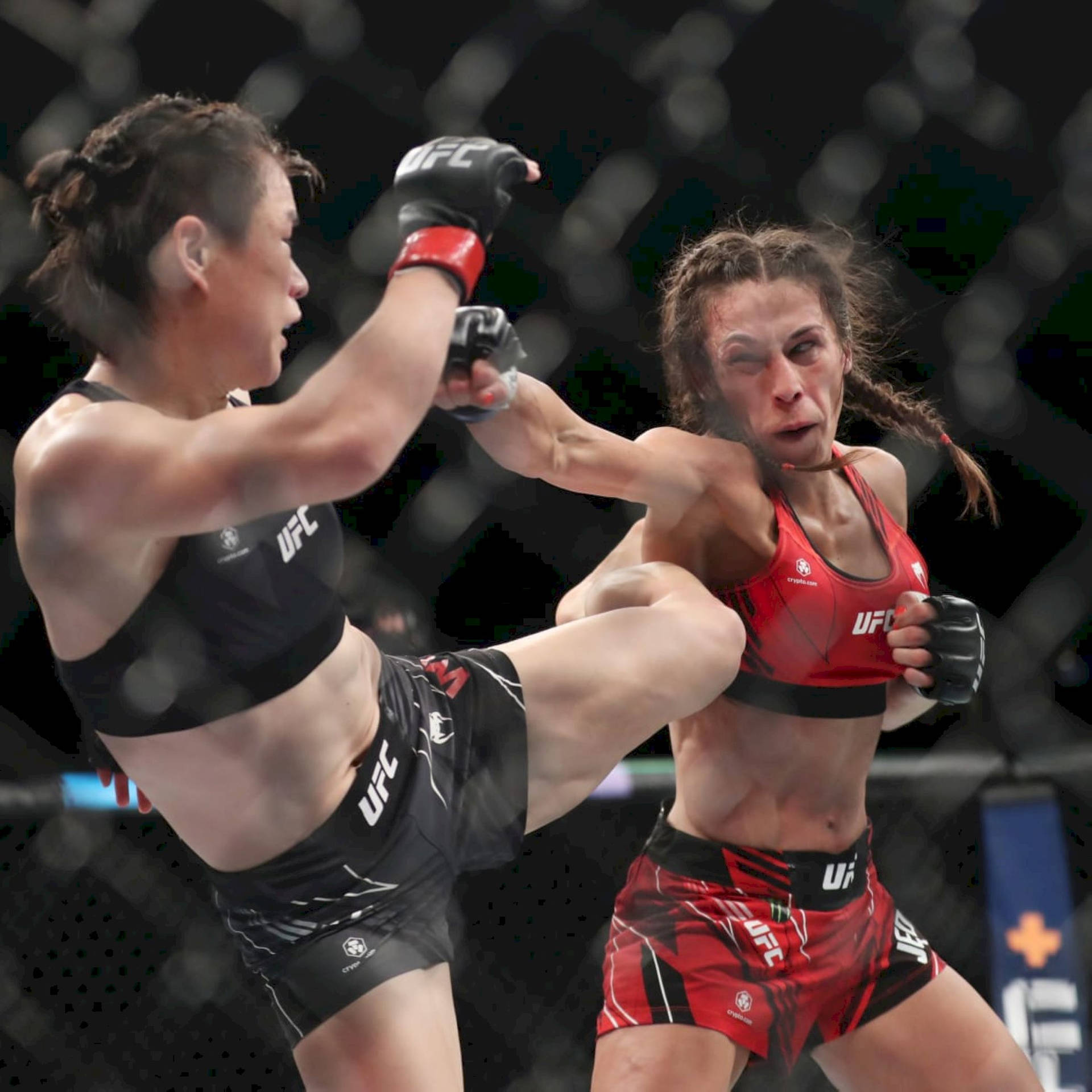 兩名身穿UFC裝備的女性拳手在八角籠內交換高踢和格擋。