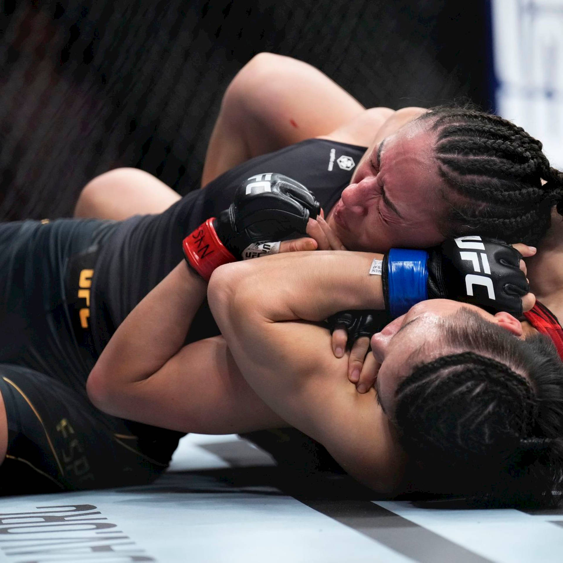 兩位女性拳手在UFC比賽中處於纏鬥狀態。