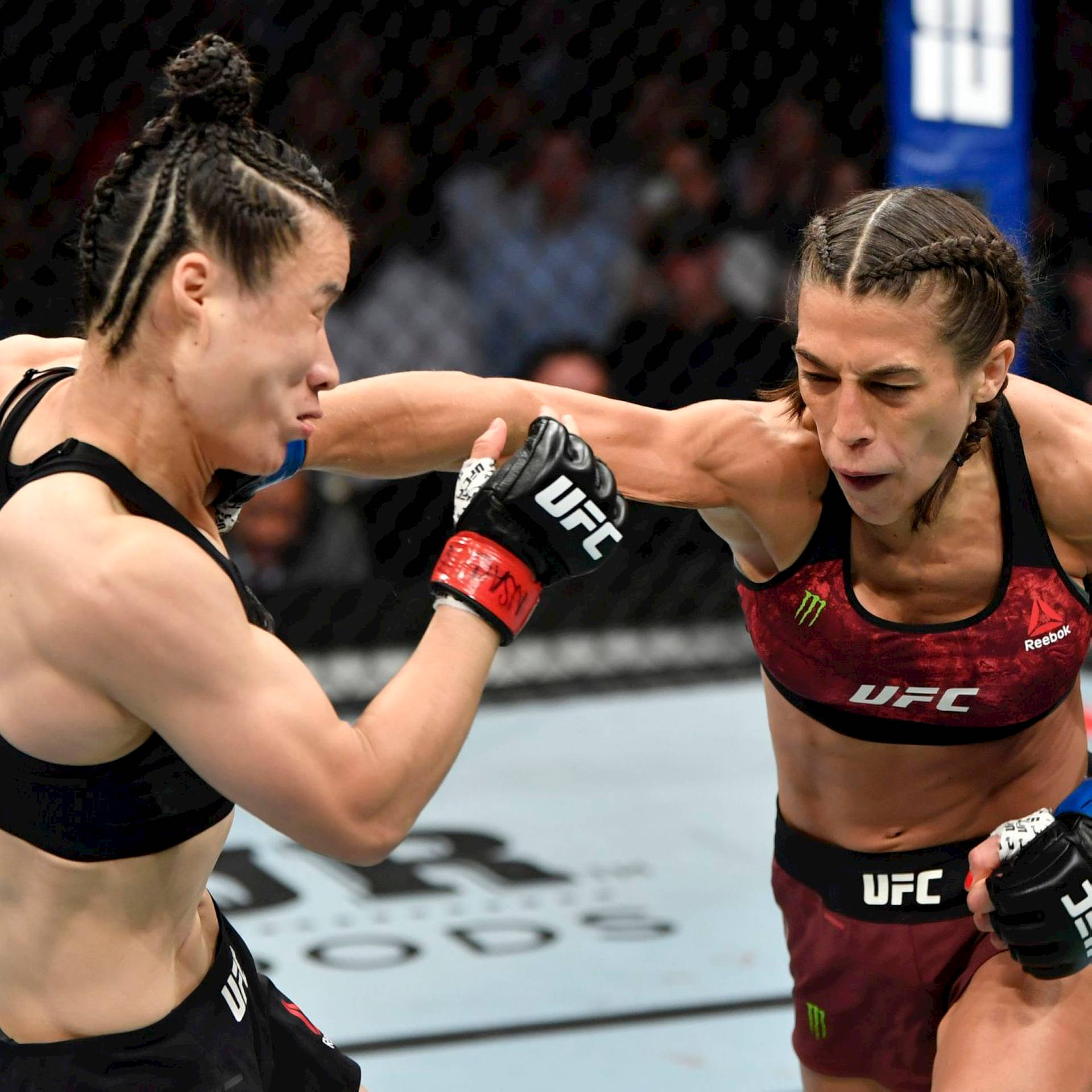 兩位女性MMA拳手在UFC八角籠比賽中互相出拳。