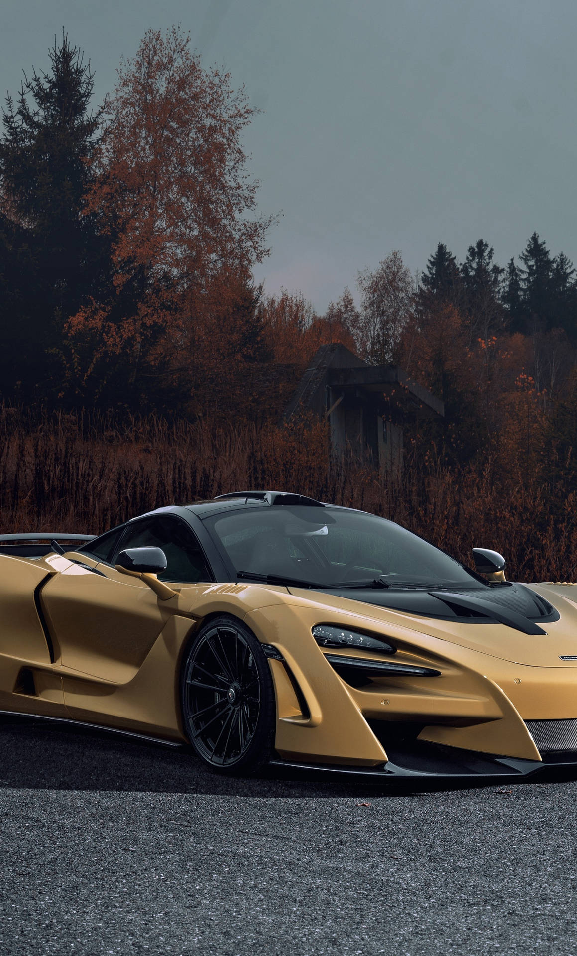 金色McLaren跑車停在秋林附近，霧中小屋。