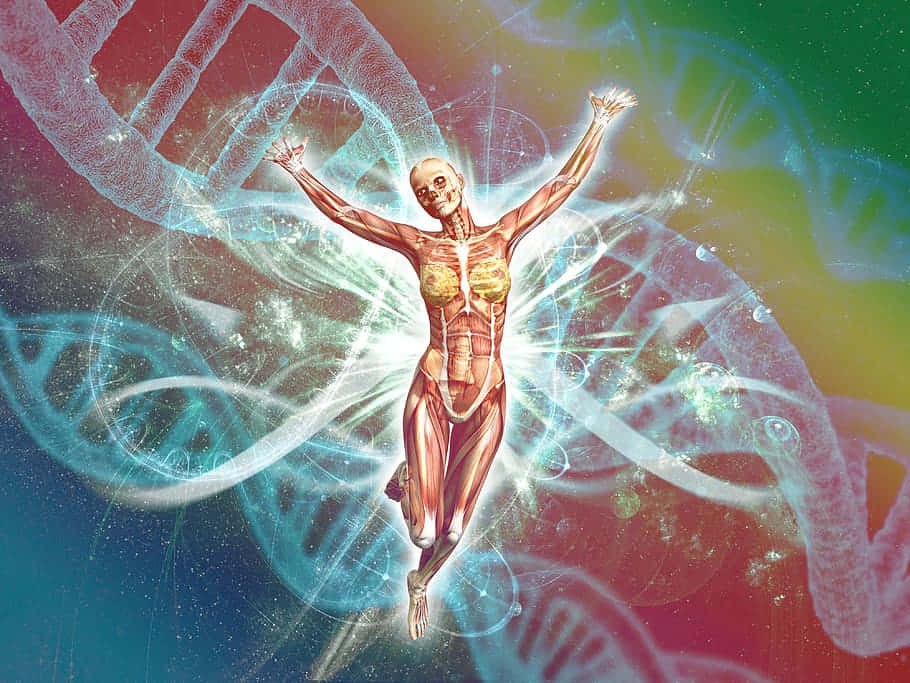 人體解剖模型高舉雙臂，被宇宙色彩的DNA鏈條環繞。
