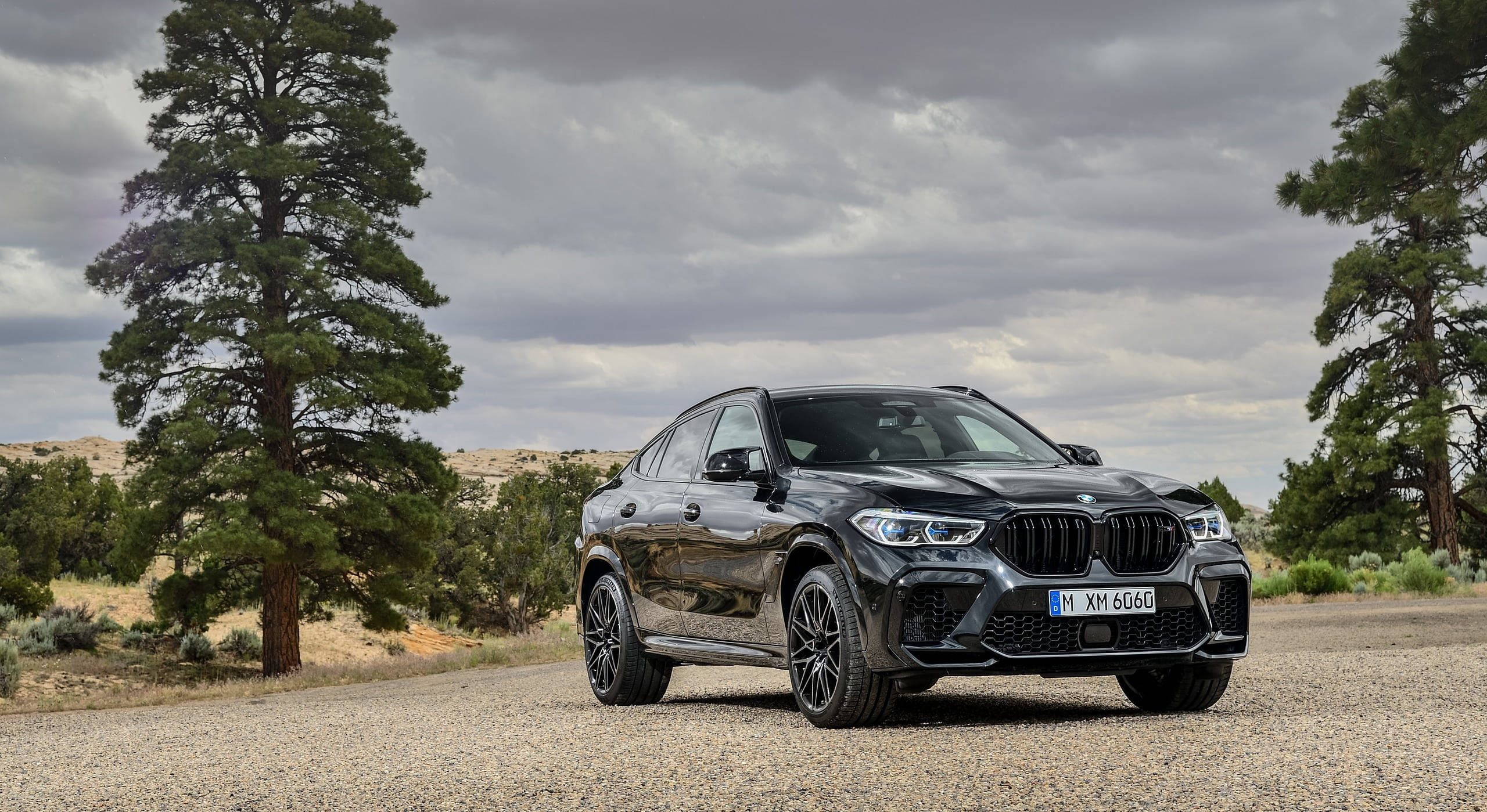 強悍 BMW X6 M 壁紙 — 一架時尚的黑色BMW XM SUV停泊在碎石路上，兩旁是高聳的松樹，天空多雲。