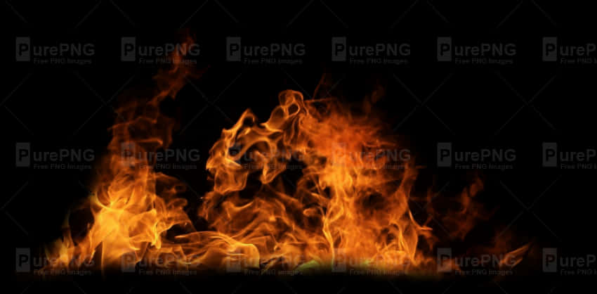 強烈火焰在黑色背景上 壁紙 — 鮮豔的橙色和黃色火焰在純黑色背景上動態舞動，散發強烈的熱能。