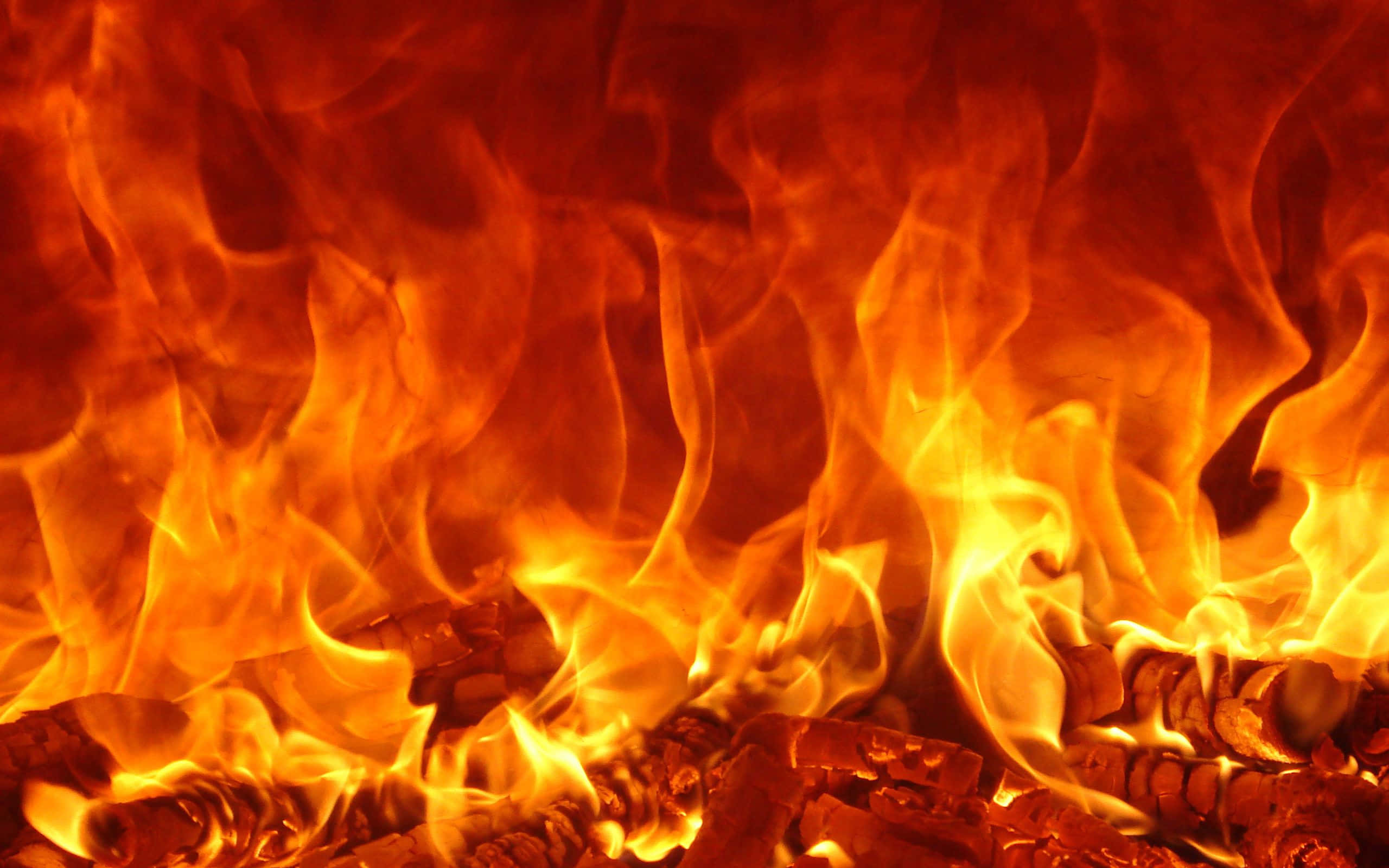 Flame 桌布 壁紙 — 強烈的火焰在熾熱的餘燼上舞動，近距離的烈焰特寫。