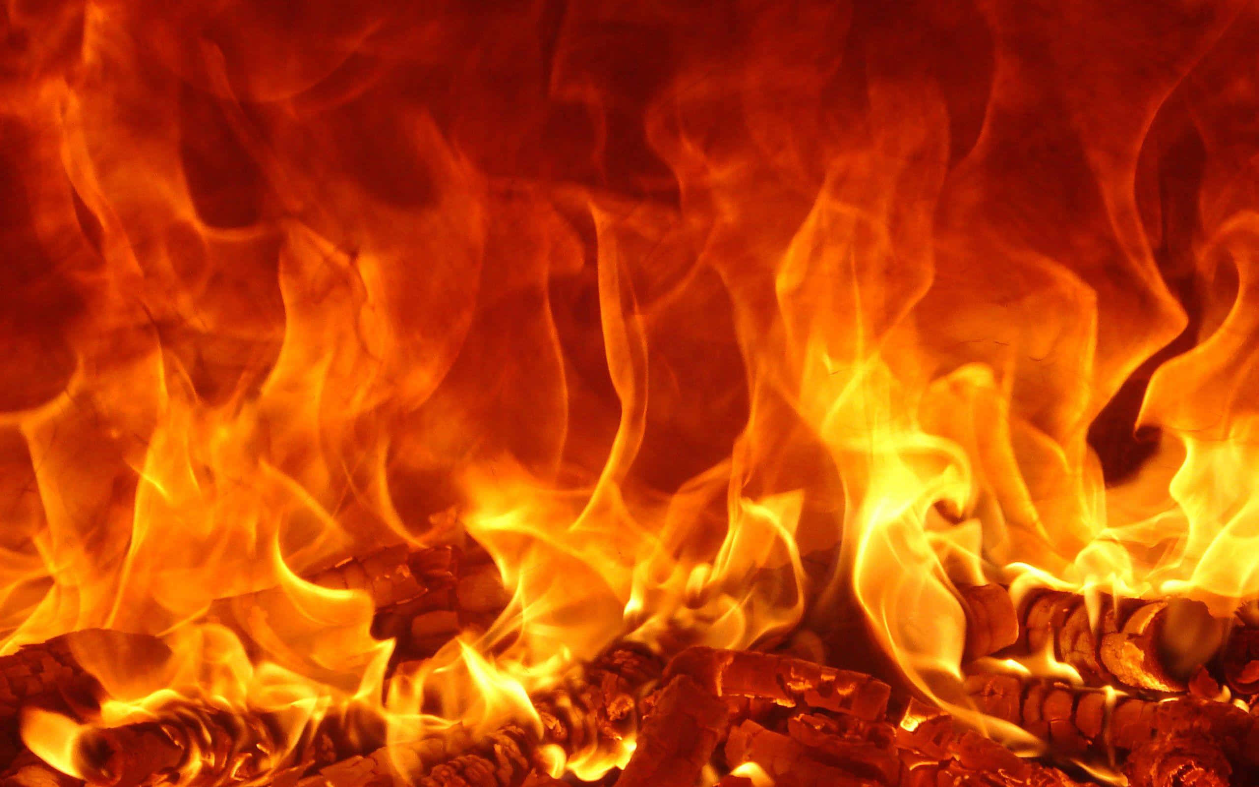 3d Fire 桌布 壁紙 — 強烈的火焰在熾熱的餘燼上舞動，近距離拍攝的烈焰。