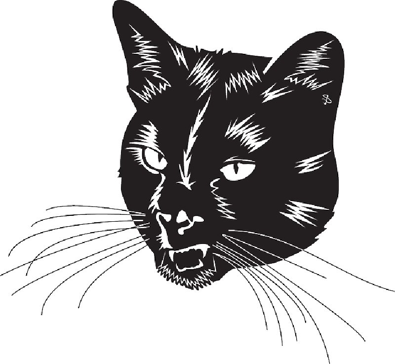 強烈黑貓插畫 壁紙