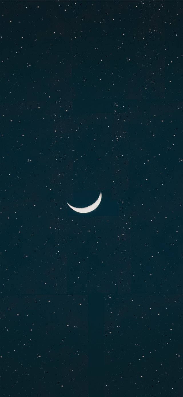 新月在繁星點點的夜空中閃耀。