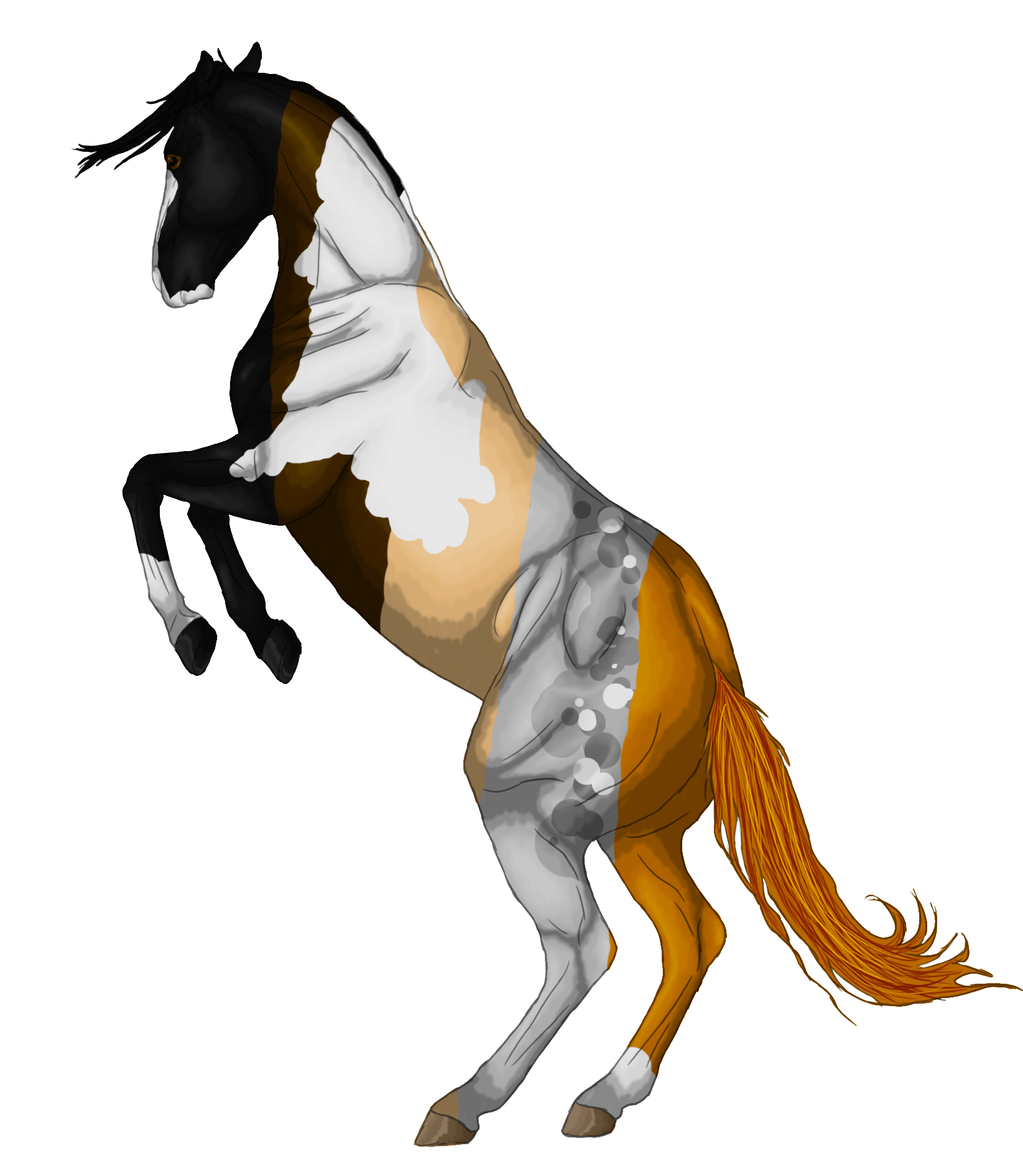 彩繪馬匹騰躍插畫 壁紙 — 一幅動態插圖，描繪一匹花馬在純黑色背景上揚起前蹄，帶有白色運動線條。