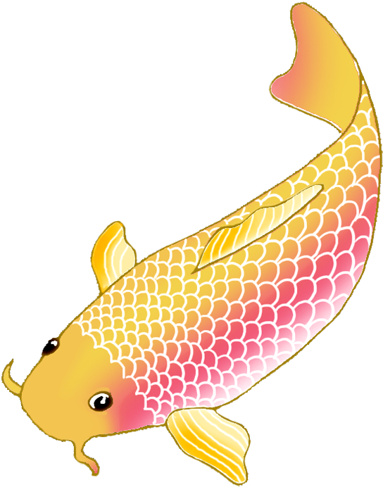 彩色卡通鯉魚插畫 壁紙 — 一條風格化的錦鯉，帶有從金黃色到粉紅色的漸變鱗片，在純黑背景下優雅游動。