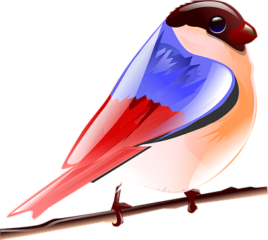 彩色向量雀鳥插圖 壁紙
