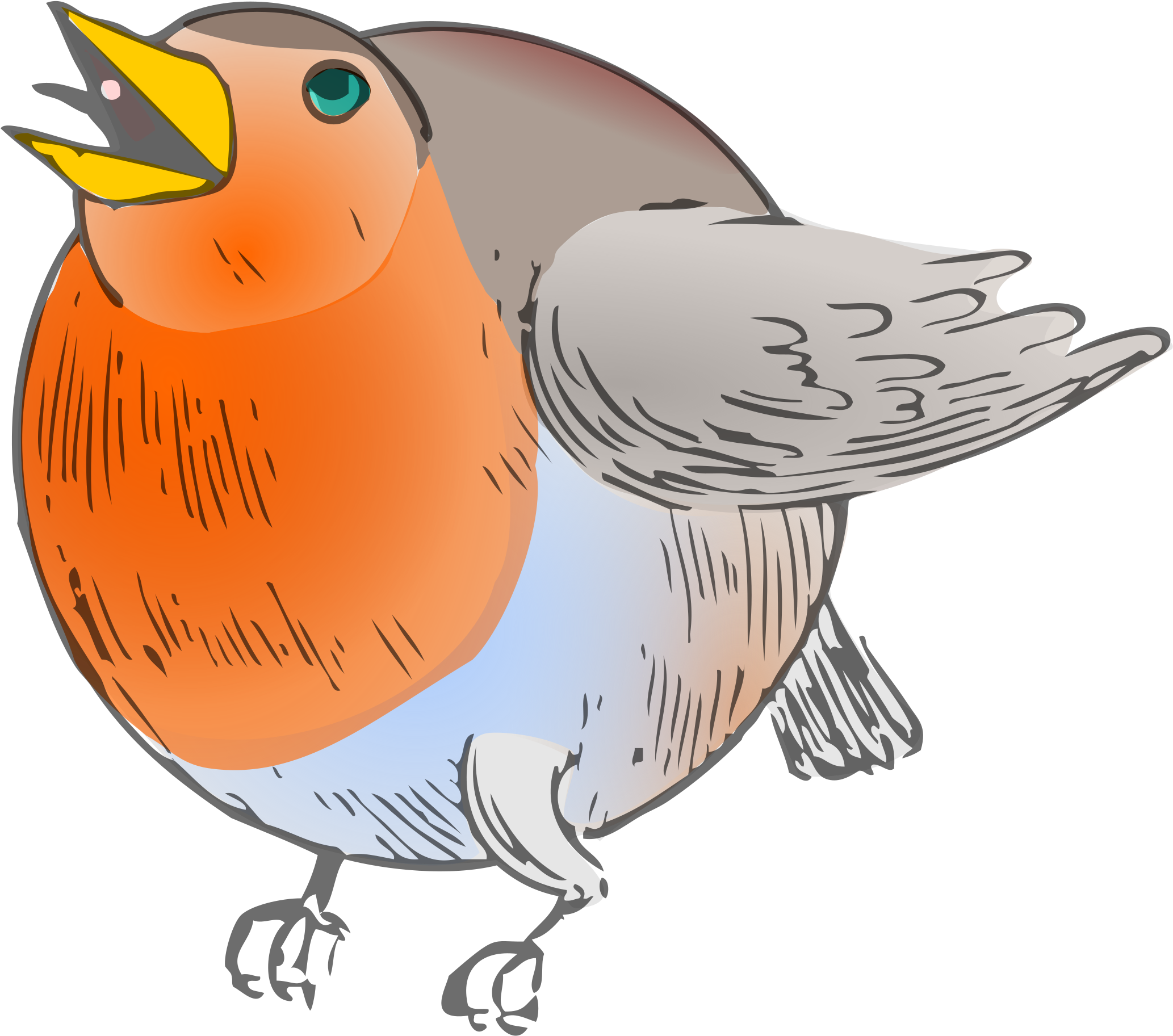 彩色知更鳥插畫 壁紙 — 一隻卡通知更鳥，橙色胸部，灰色翅膀，在黑色背景上張開喙唱歌。