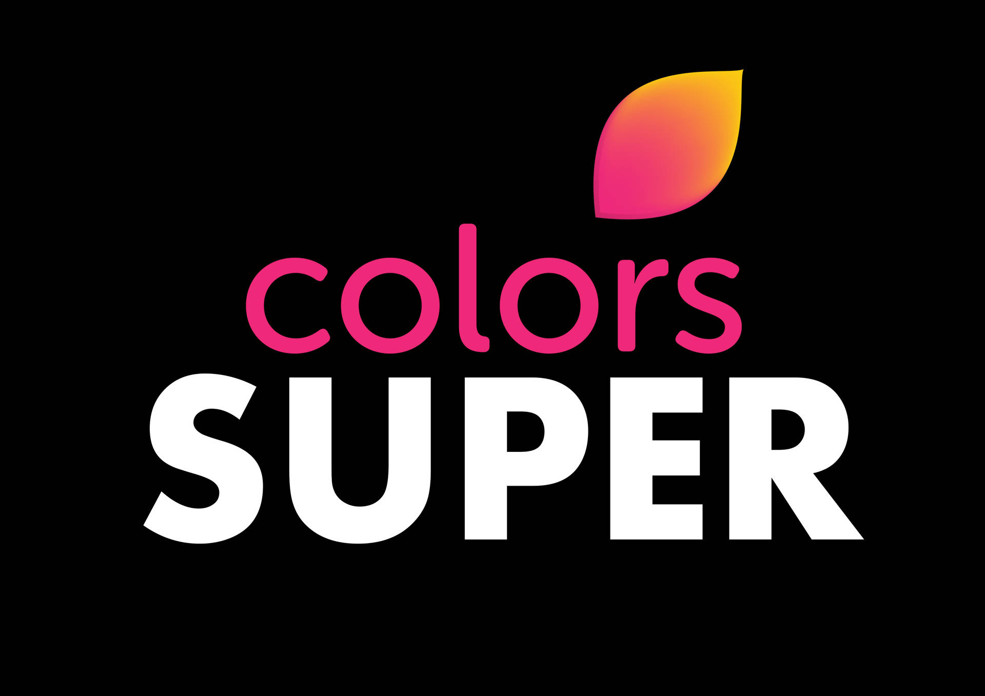 標誌包含文字「顏色SUPER」和漸變葉子，背景為黑色。