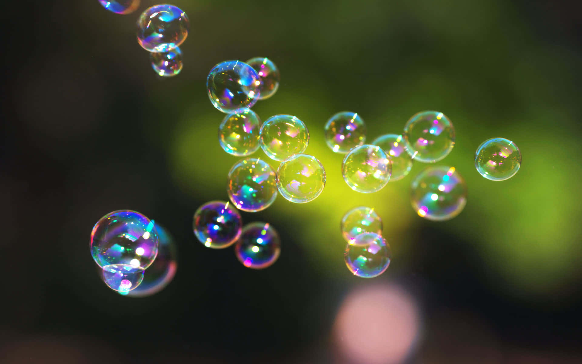 彩虹氣泡模糊風景背景 壁紙 — 閃閃發光的肥皂泡在柔和的綠色散景背景上優雅地飄浮，捕捉棱鏡光線在其彩虹色表面上。