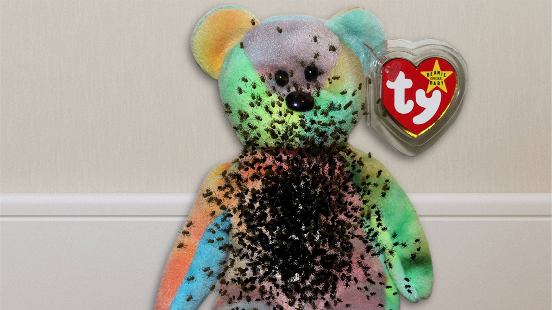彩虹熊Beanie Boos 壁紙 — 一隻色彩繽紛的Ty Beanie Baby泰迪熊，在米色牆壁上佈滿黑色螞蟻。