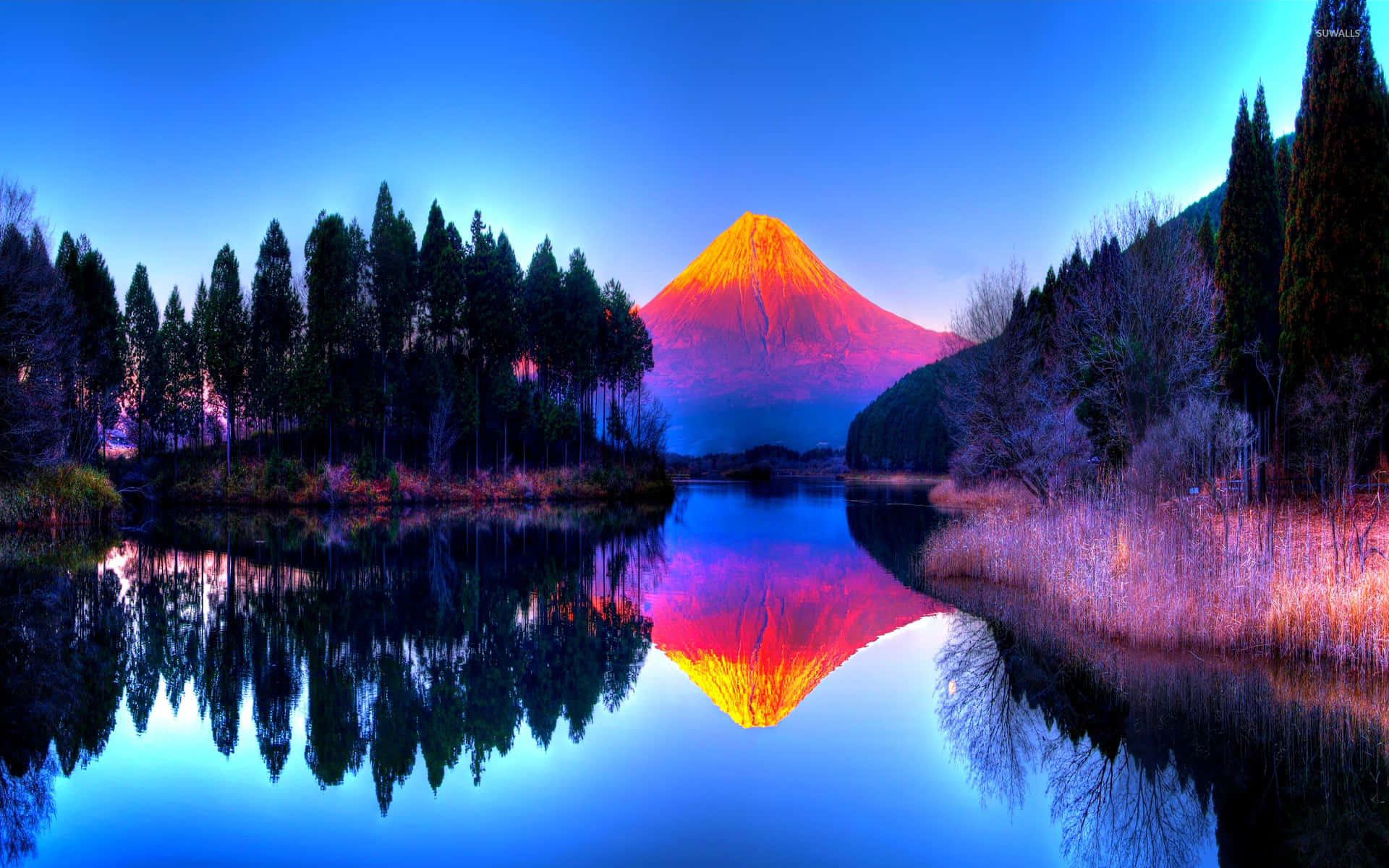 富士山在日落時發光，倒映在平靜的湖面上，周圍有常綠樹。