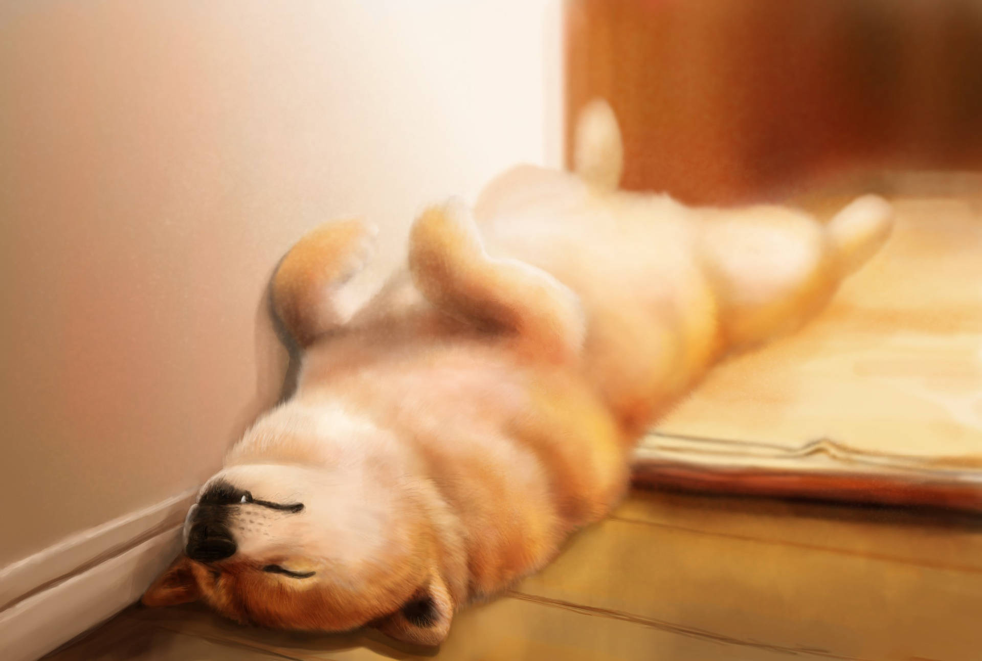 一隻柴犬在木地板上仰臥睡覺。