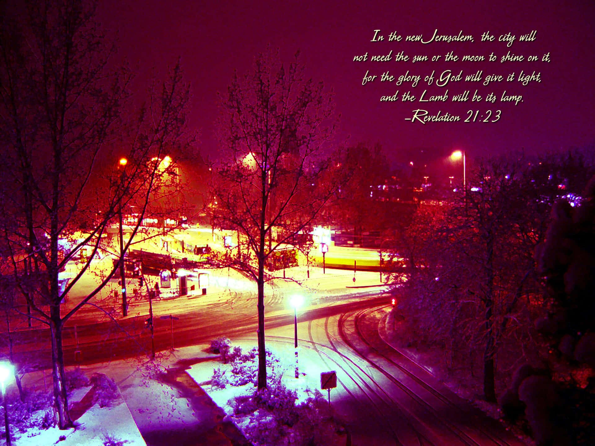 夜晚積雪的街道，閃爍的燈光與光禿的樹木，在洋紅色的天空下。