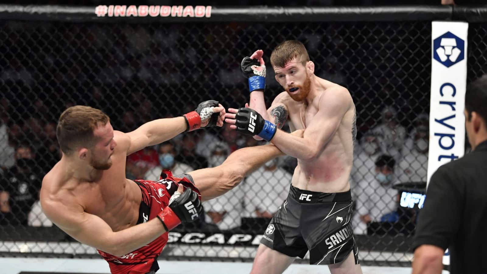 兩名男性拳手在MMA鐵籠賽中交換高踢和擋格。