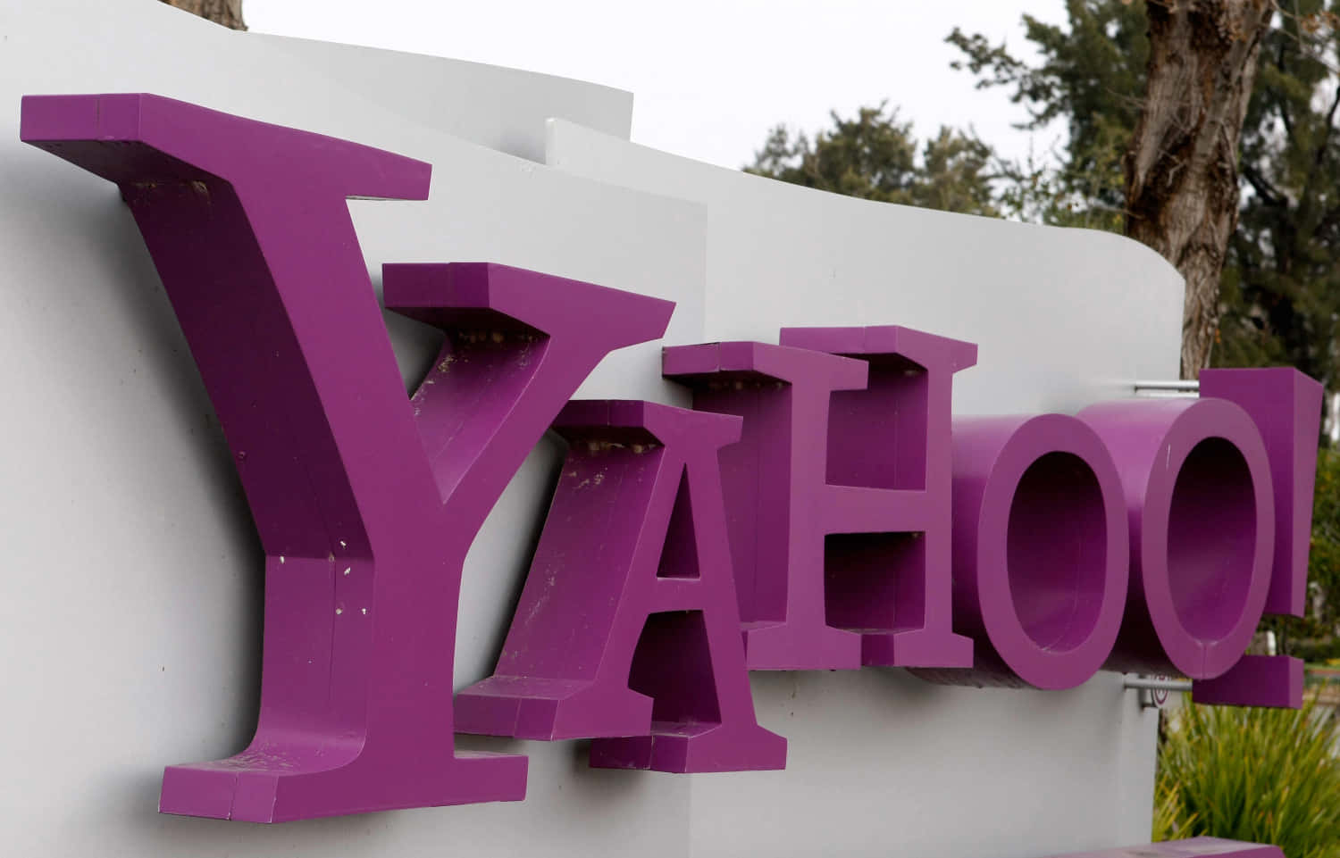 從Yahoo!獲取最新新聞、體育與娛樂更新 壁紙 — 大型紫色Yahoo!字母安裝在白色牆壁上，背景有樹木和綠植。