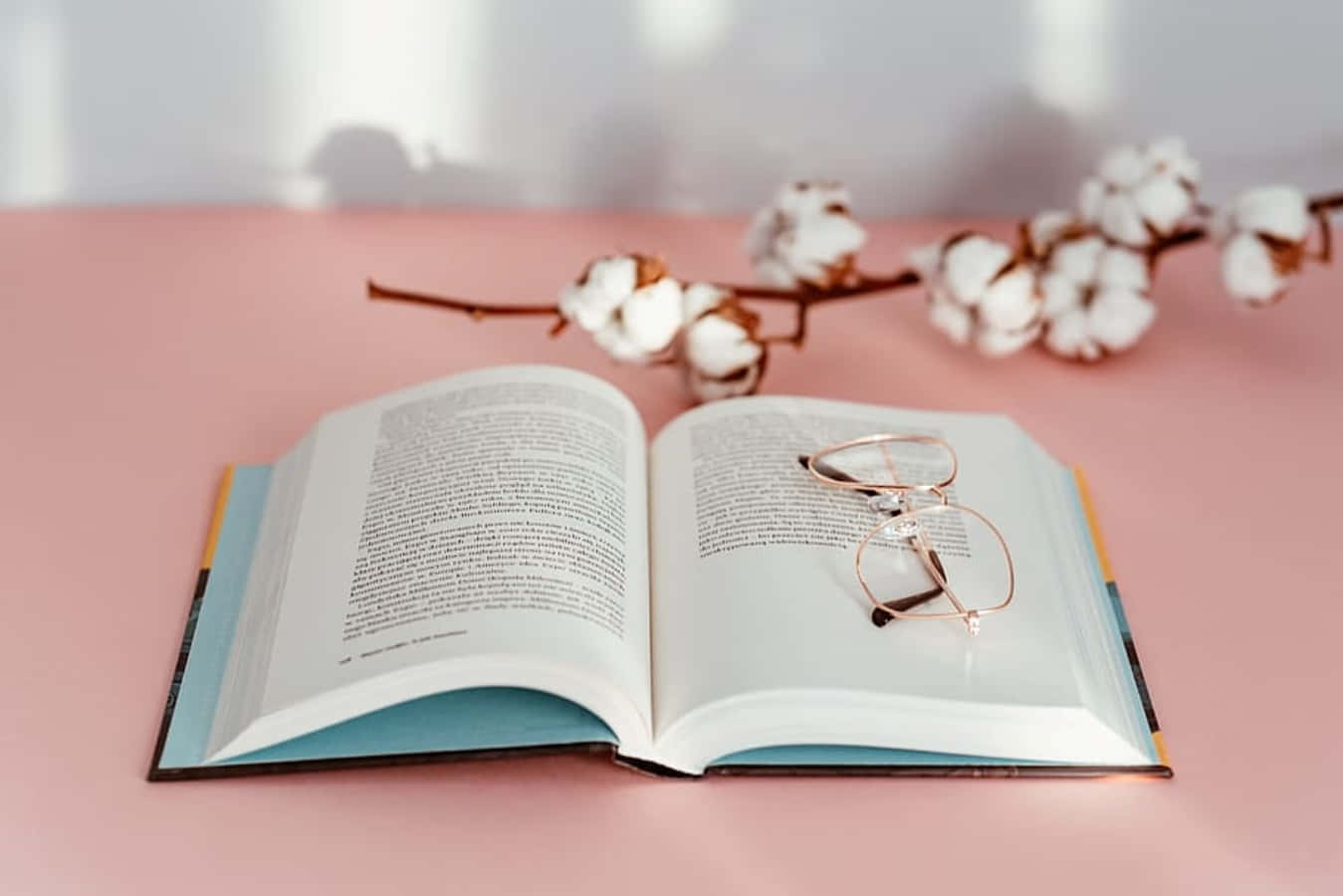 打開的書、眼鏡和棉花枝在粉紅色背景上