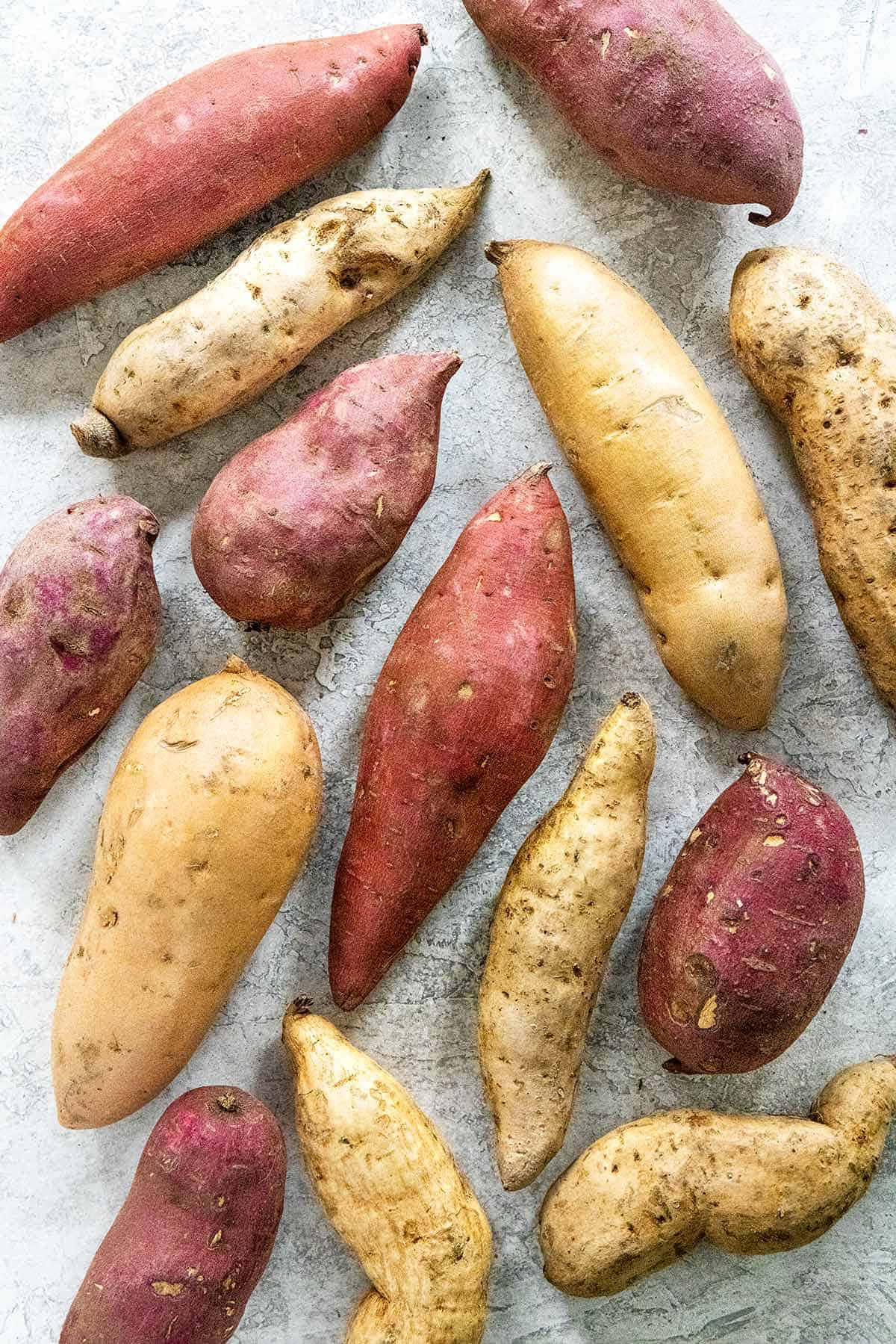 Yellow Sweet Potato 桌布 壁紙 — 從上方俯瞰，各種紅色、米色和紫色色調的番薯散落在有紋理的灰色表面上。