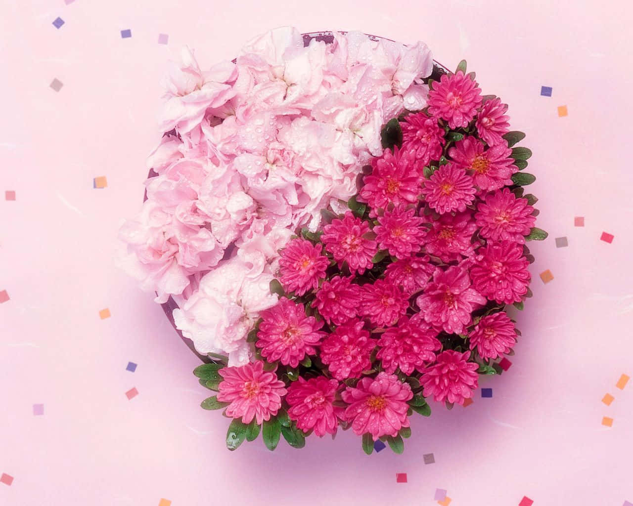 Flower Arrangement 桌布 壁紙 — 從上方俯瞰一個心形花卉佈置，以柔和的粉紅色繡球花和鮮豔的紫紅色菊花為主，放置在粉彩粉紅色背景上，並散落著五彩紙屑。