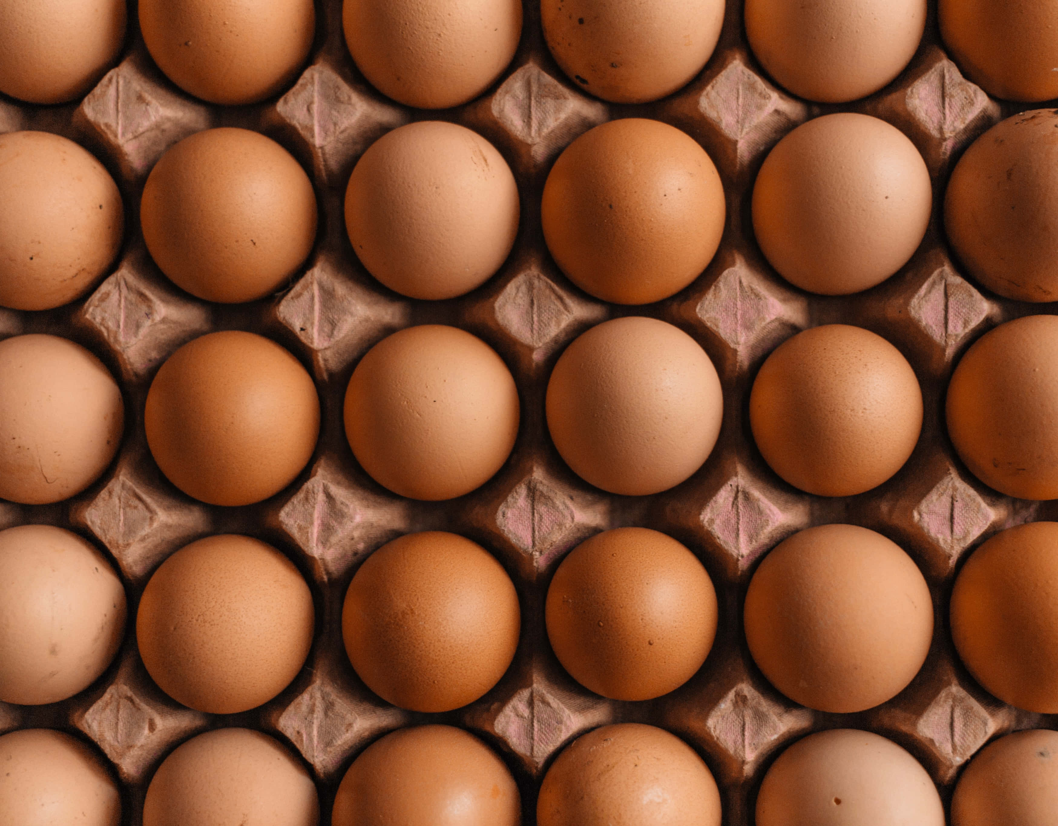 Brown Eggs 桌布 壁紙 — 從上方俯瞰整齊排列在帶有紋理隔層的紙板托盤中的棕色雞蛋。