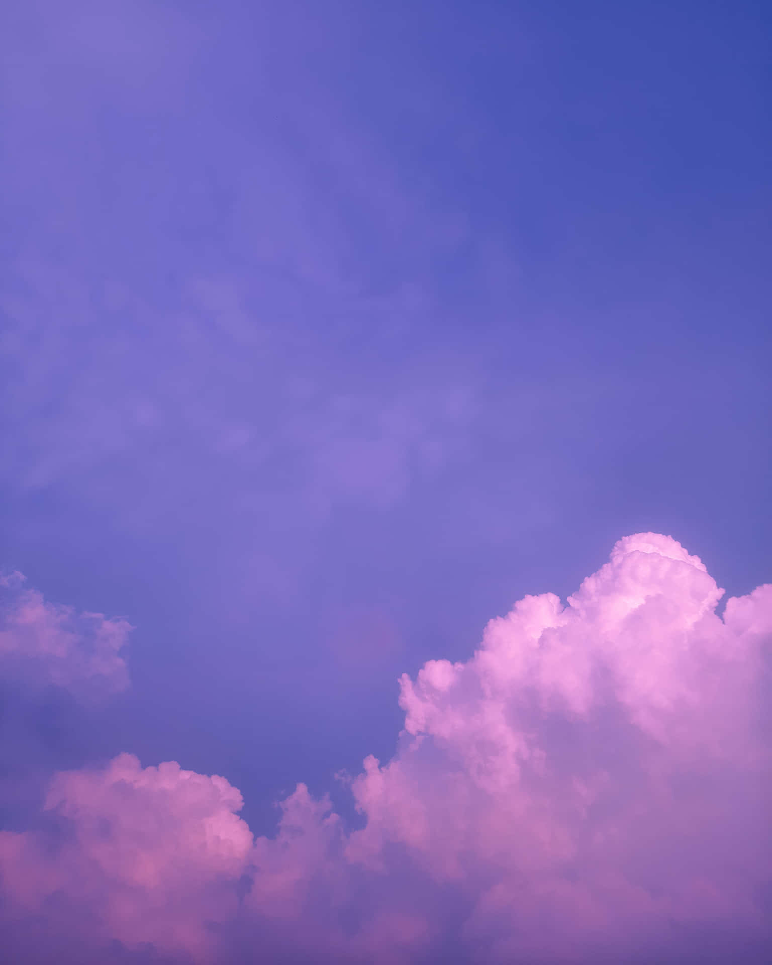 紫色和粉紅色的雲彩在暮色天空中發光。