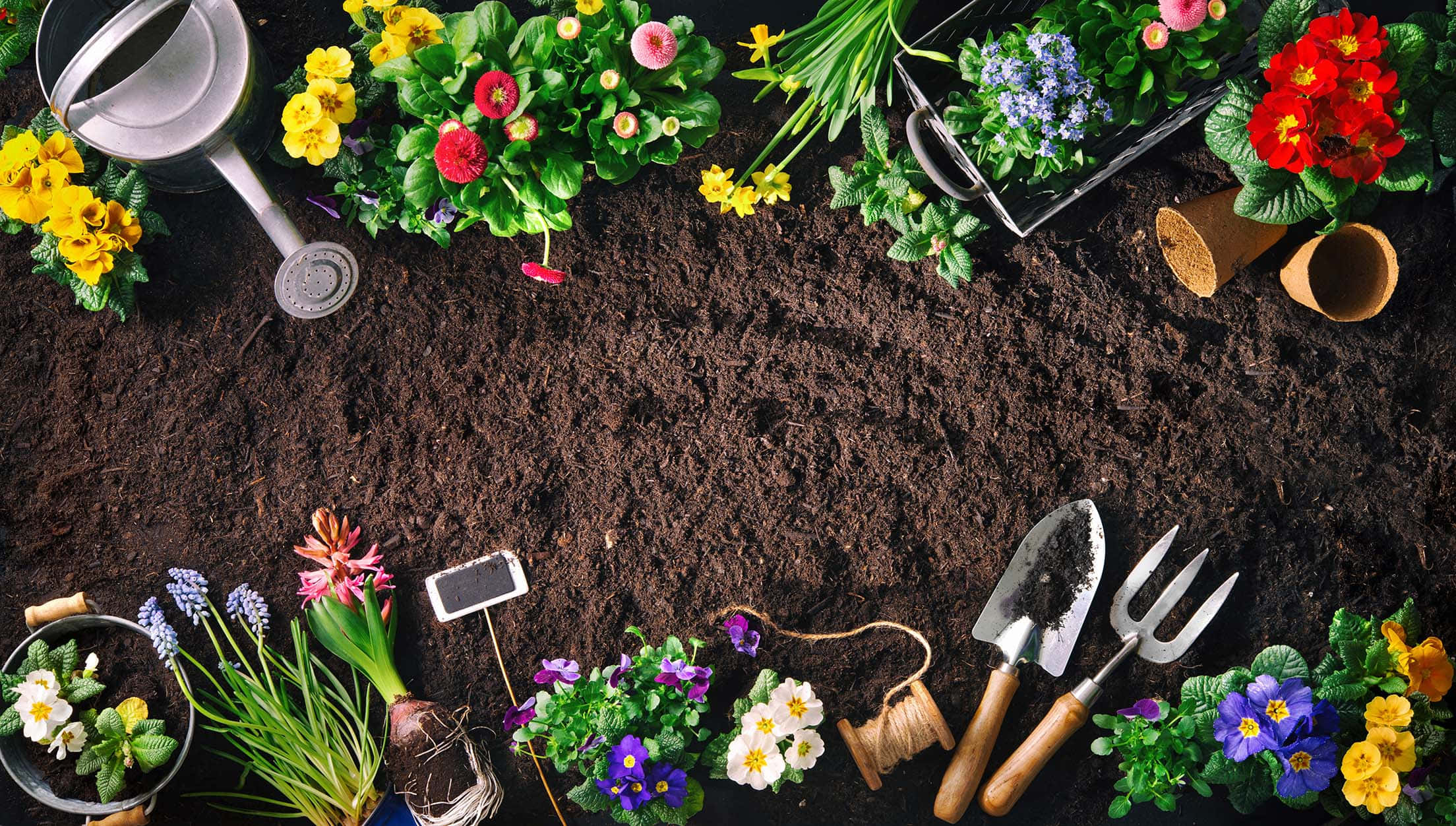 Gardening 桌布 壁紙 — 從上方俯瞰肥沃土壤，四周環繞著色彩繽紛的春季花卉、園藝工具和一個噴壺。