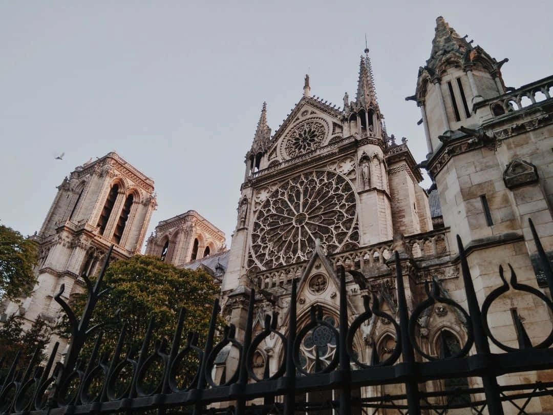 Gothic Architecture 桌布 壁紙 — 從低角度觀看巴黎聖母院複雜的哥德式外牆和玫瑰窗，由黑色鍛鐵圍欄框住，天空多雲。
