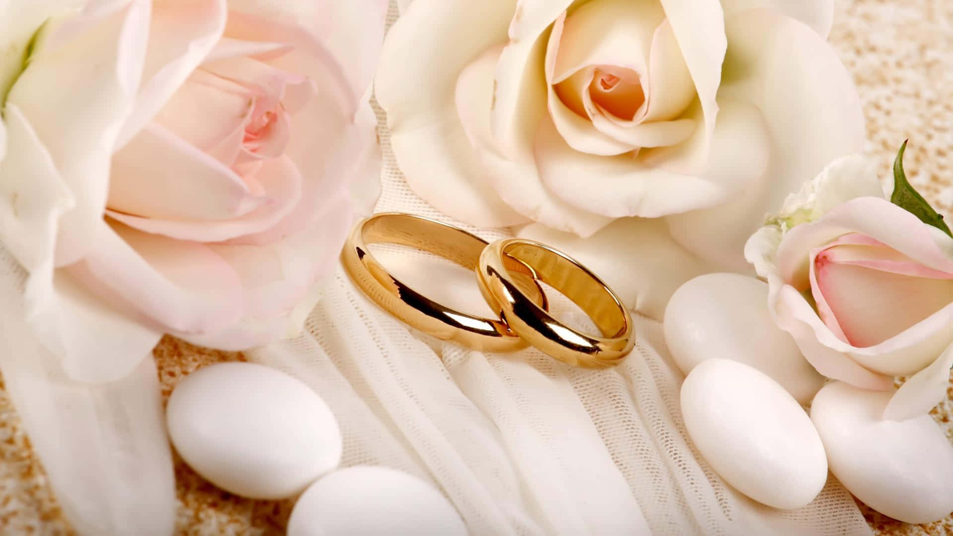 從內而外設計你的生活 壁紙 — 兩枚閃閃發光的金色結婚戒指，安放在柔軟的白色和淡粉紅玫瑰以及光滑的白色石頭之間，置於精緻的蕾絲布料上。