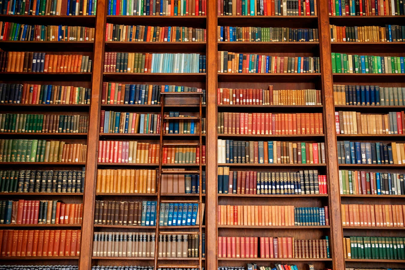 從地板到天花板的書架虛擬Zoom背景 壁紙 — 高大的木書架上擺滿色彩繽紛的復古書籍，營造出溫暖的學術氛圍。