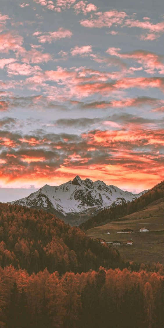 日落時分，白雪覆蓋的山峰，橙色雲彩和下面的秋樹