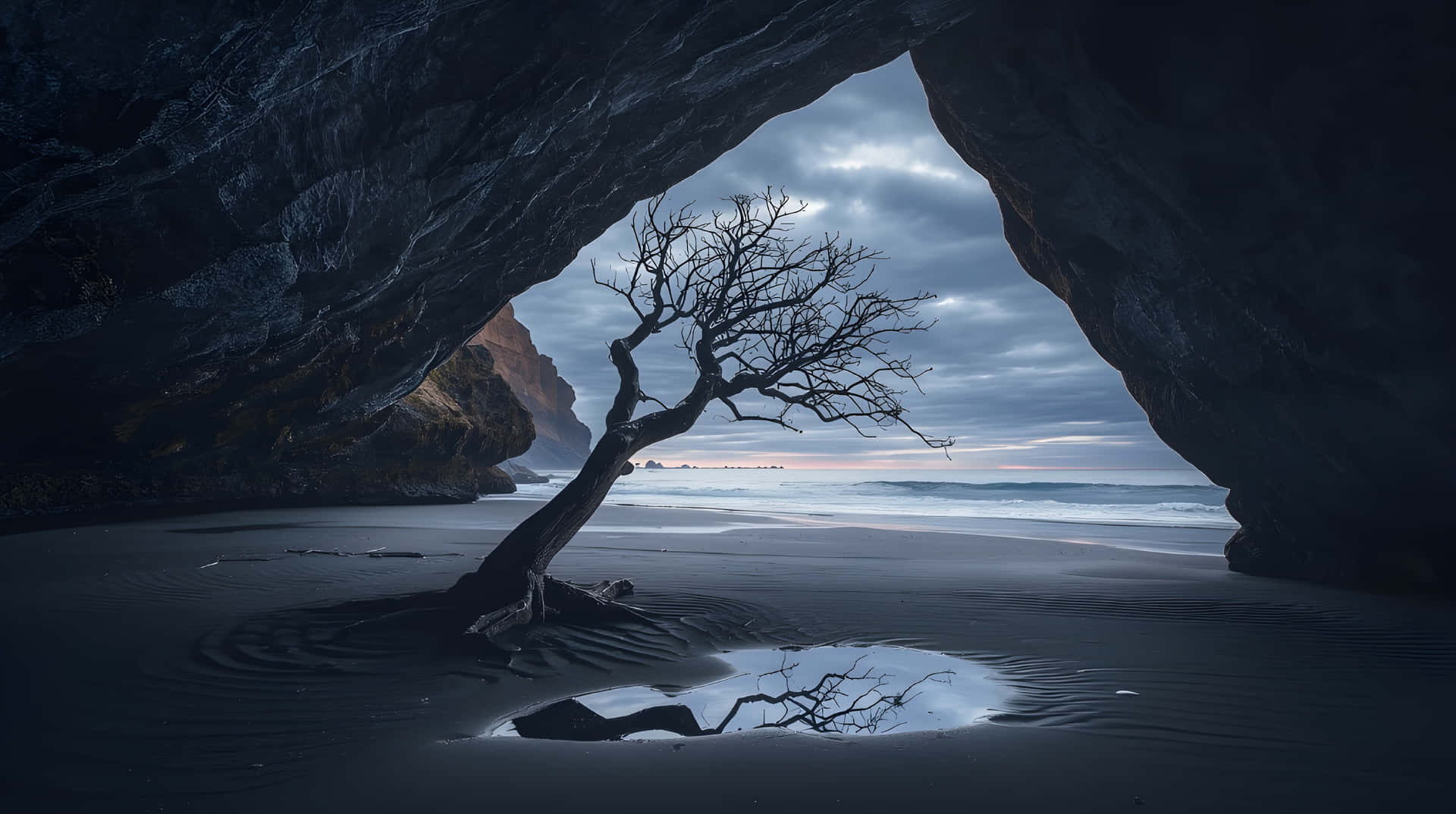 黃昏時，岩石拱門下的黑沙上有一棵裸樹，可欣賞海景