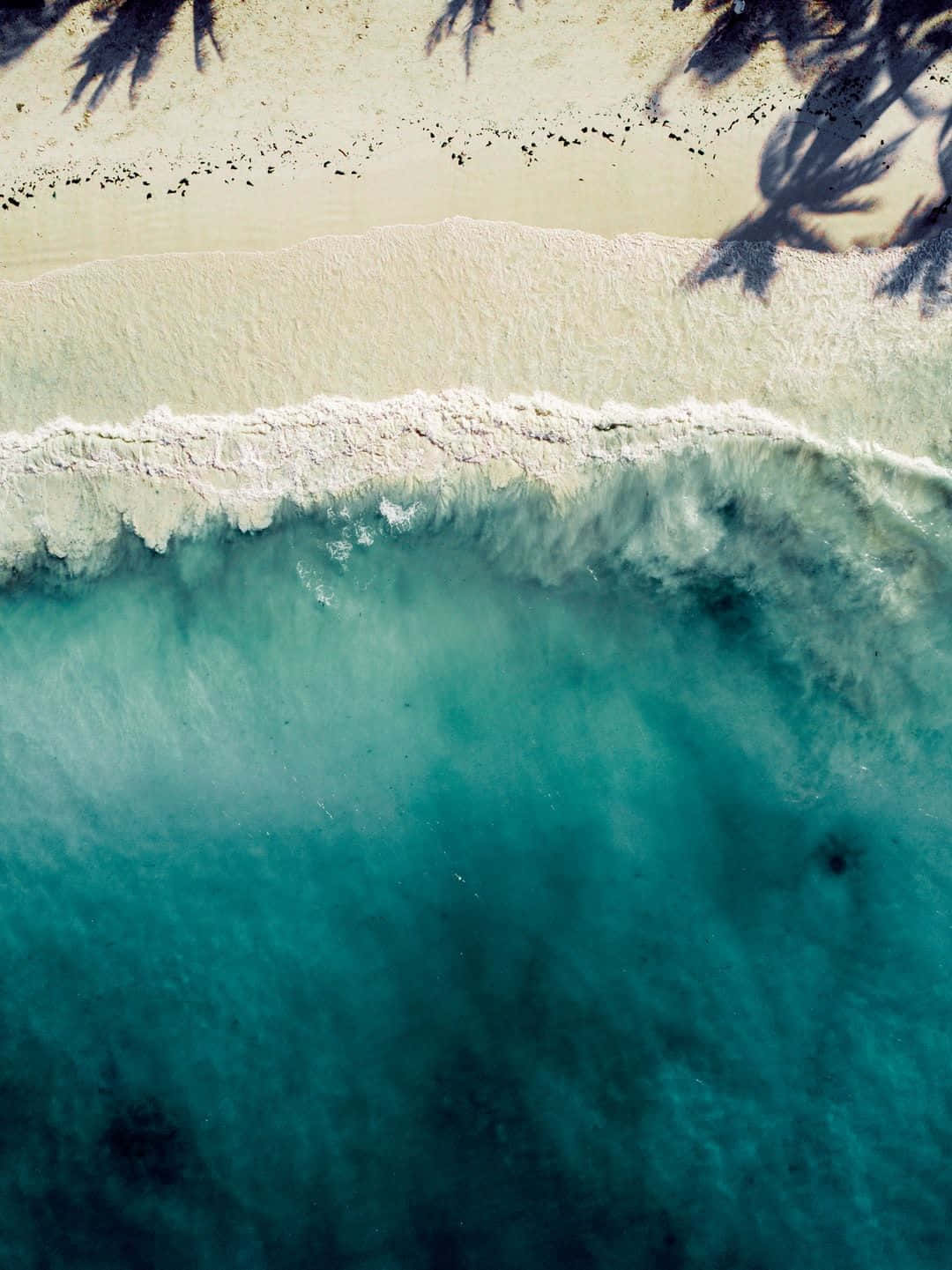 棕櫚樹蔭下，碧綠海浪與白色沙灘交匯的航拍鏡頭。