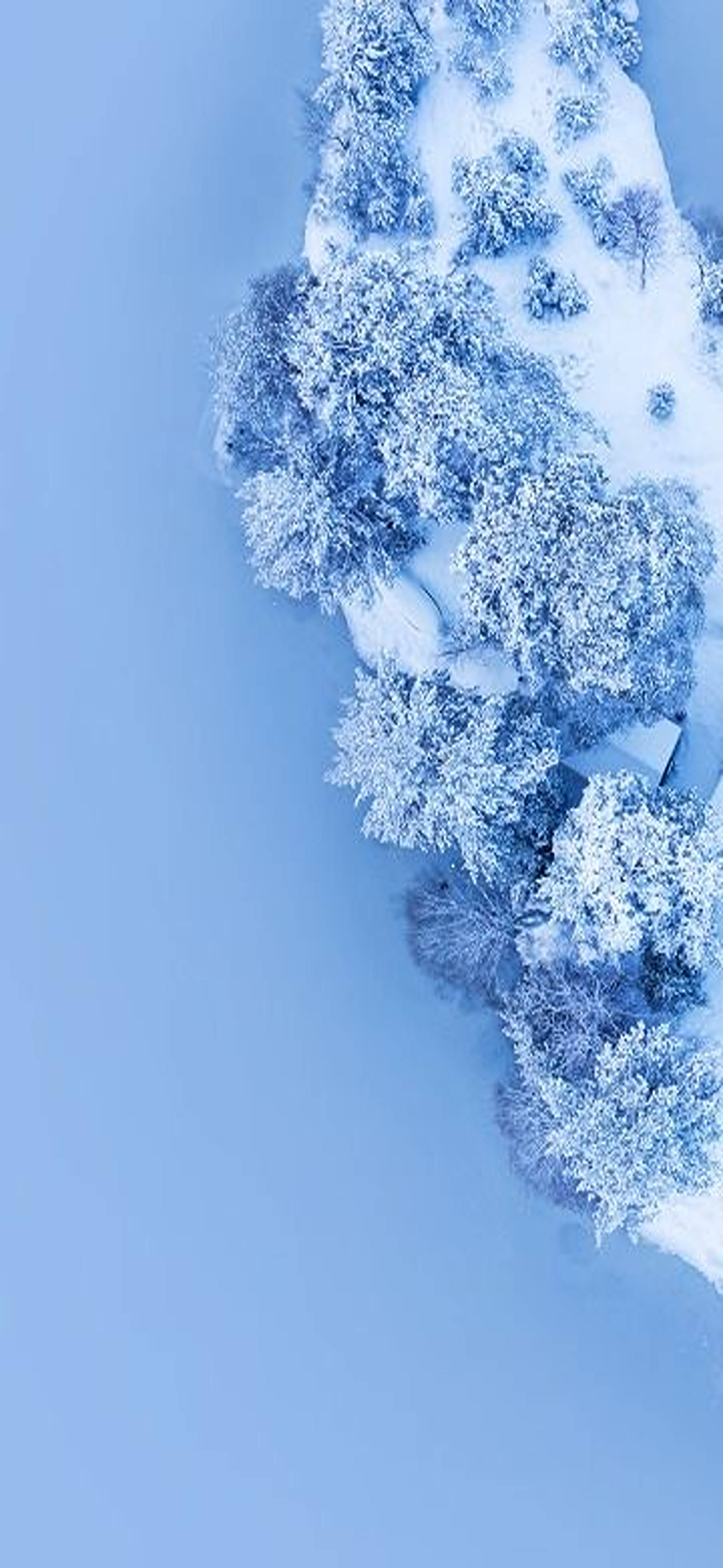 雪 桌布 壁紙 — 從空中俯瞰，白雪覆蓋的樹木和一座小木屋坐落在寧靜的冬季森林中，天空呈現淡藍色。