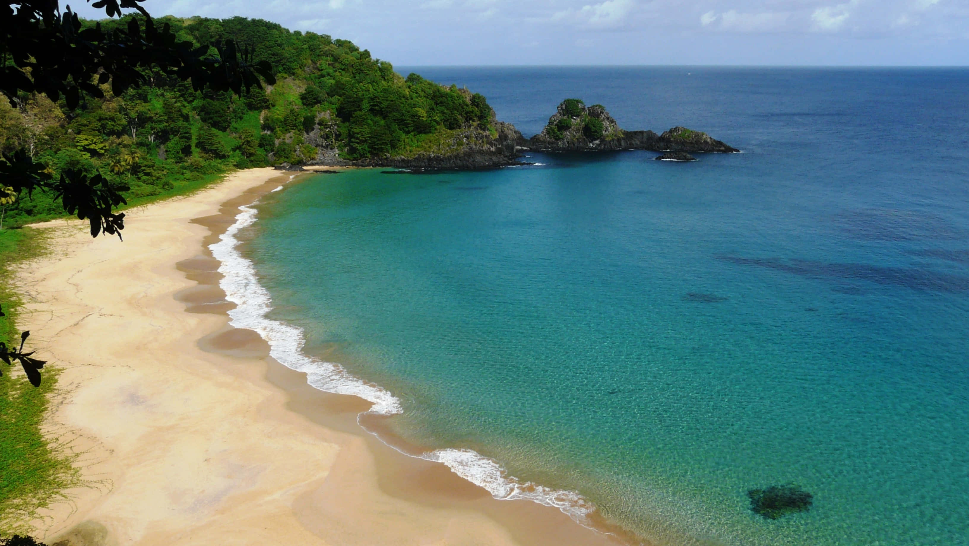 Brazilian Beach 桌布 壁紙 — 從空中俯瞰一個隱蔽的熱帶海灘，碧綠的海水輕拍著金色沙灘，旁邊是鬱鬱蔥蔥的綠色懸崖。