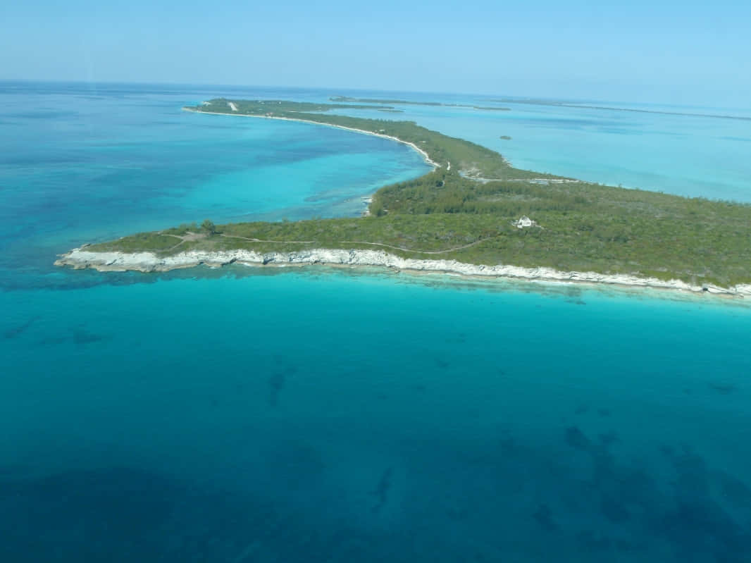 Bahamas Island 桌布 壁紙 — 從空中俯瞰一個鬱鬱蔥蔥的綠色島嶼，擁有白色懸崖和延伸至地平線的碧綠海水。