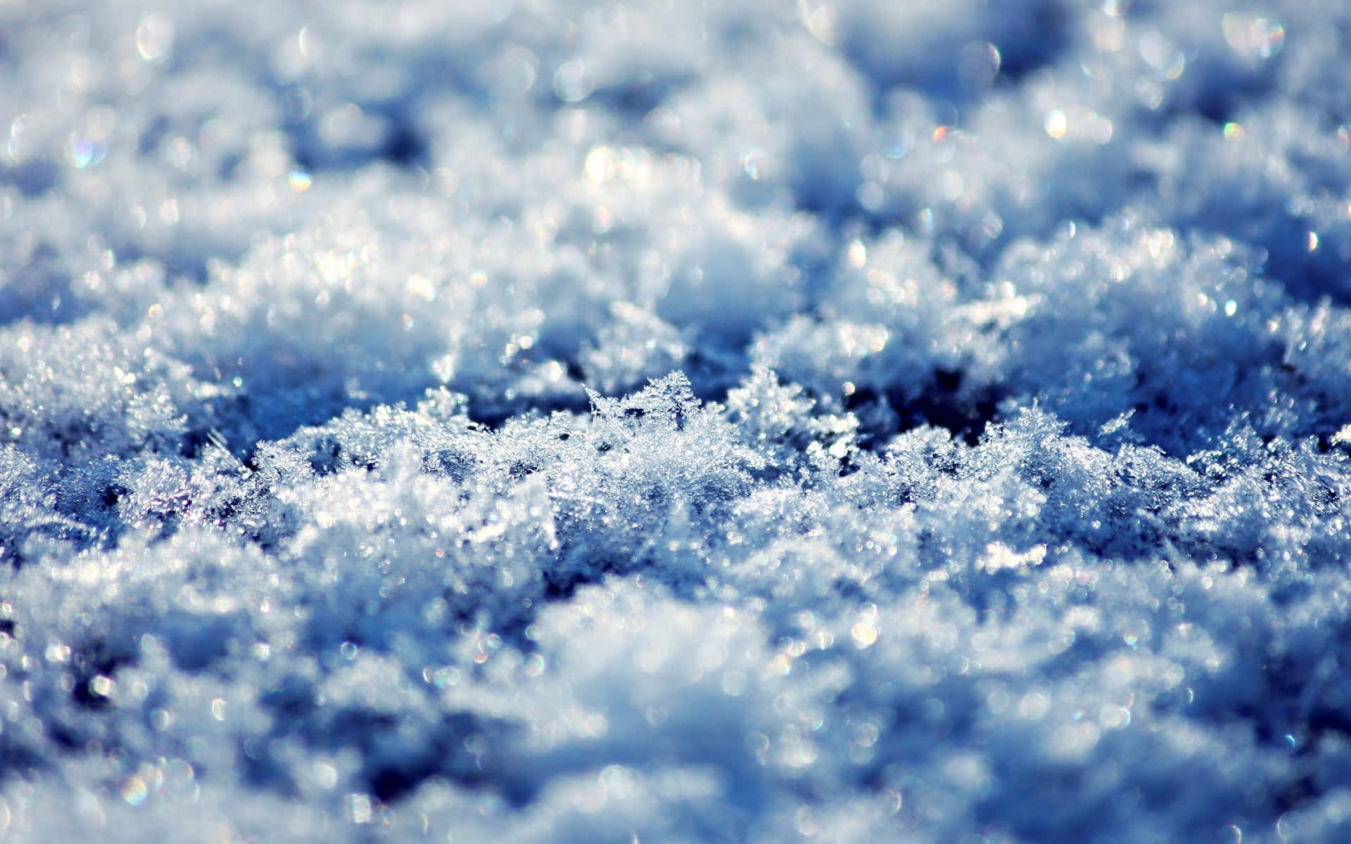雪花在陽光下閃閃發光的特寫。