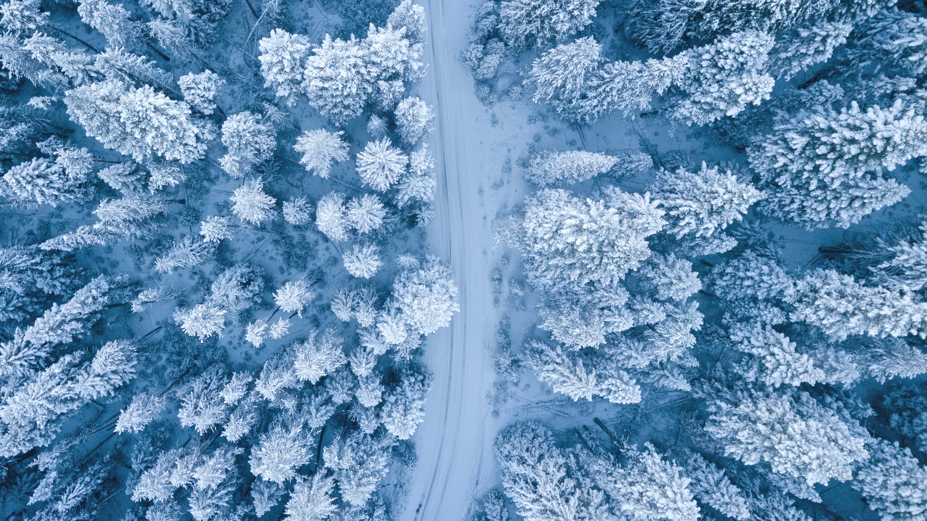 寒冷 桌布 壁紙 — 從高空俯瞰，一條蜿蜒的道路穿過白雪覆蓋的茂密森林，天空呈現清涼的藍色。