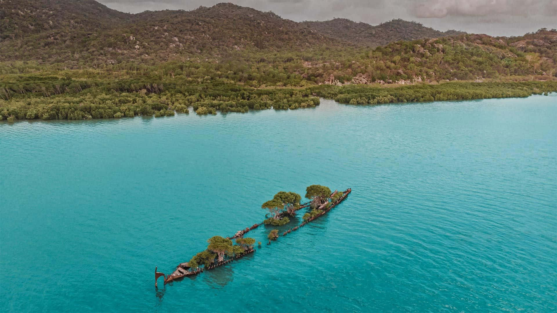 Adelaide 桌布 壁紙 — 從高空俯瞰，一艘長木船上有樹木生長，漂浮在充滿活力的藍綠色水域中，靠近綠色紅樹林和山丘。